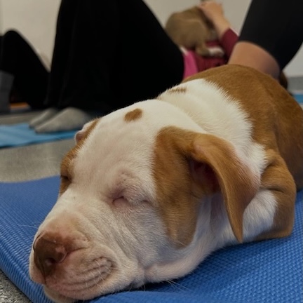 Website Photo(Impact2)