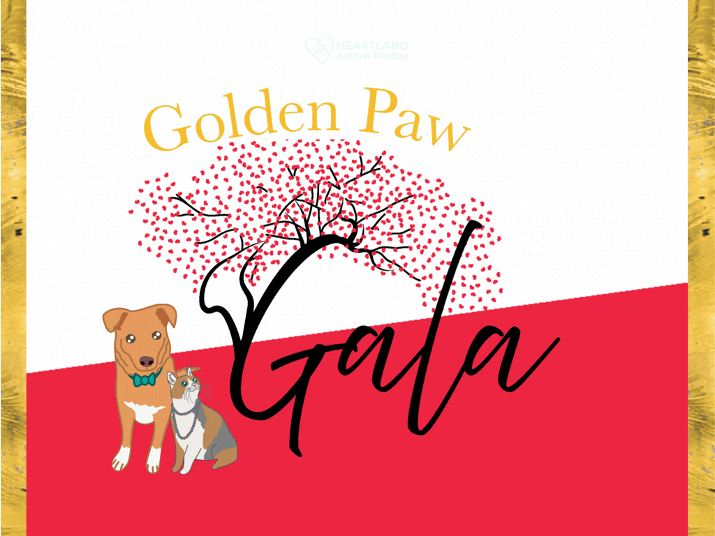 gala 2026 animation